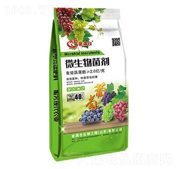 40kg΢�������-��M�}(c��ng)