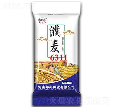 ���6311-С���N��-���N�I(y��)