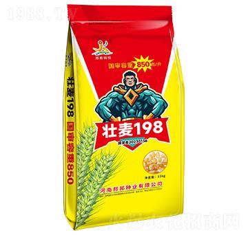 ����198-С���N��-���Ƽ�