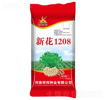 �»�1208�����N��-���S�@-���N�I(y��)