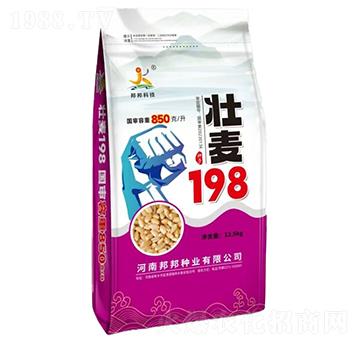 ����198С���N��-���Ƽ�