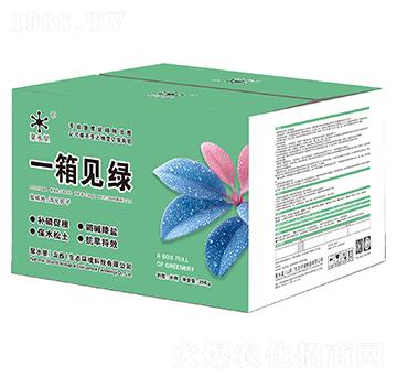 一箱見綠（綠色）-聚水星