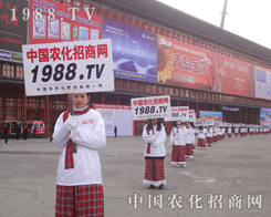 ��28��ֲ����(hu��)�r(n��ng)���W(w��ng)��(sh��)�����񡢚��(sh��)�ֺ�