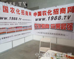 1988.TV�r�����̡�Ч����