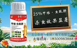 ����������ף������µ�һ�����Ҹ����M���H�Қg����