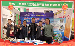 �����������{�á���ף���Ͽ͑������д��\��ؔԴ�L�L���������³ɣ�