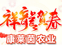 ��ɽ�����R���r(n��ng)�I(y��)��ף��������д��\(y��n)���µ�һ�긣�Ǹ������I(y��)�гɣ�