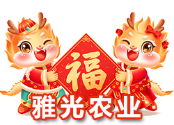 ���Ϻ��Ź��r(n��ng)�I(y��)��ף����´��옷�ϼҚg�����c�����^���꣡