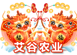 ���ӱ������r(n��ng)�I(y��)��ף������µ�һ������������f����⣡