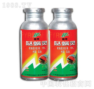 �K�����F-15%�}���`����