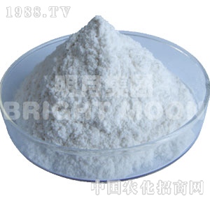 ����-������