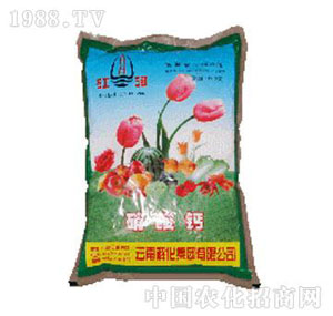 �⻯-�����}