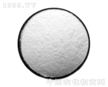 ����-�ð���