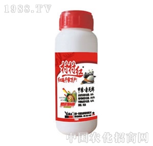 �Ͼ�һ��-���t