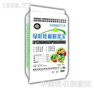 �����-�G�~�Ѹ������