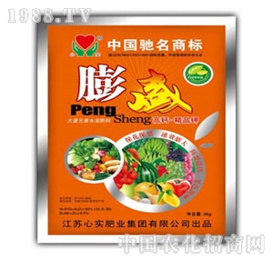 �Č�(sh��)-��ʢ