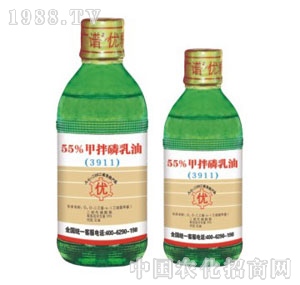 ���G�̌�-55%�װ�������