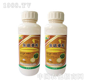 �������-���f����