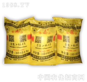 ꃻ�-���Aɽ�ơ�����