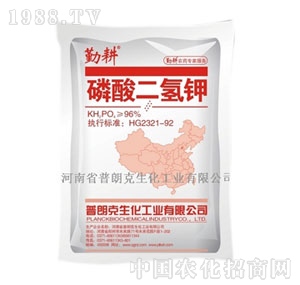 ���ʿ�-��������