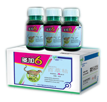 ��������-���6