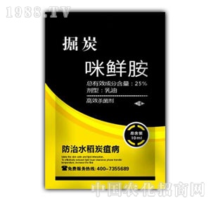 �㽭��¡-��̿