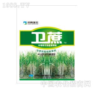 ��ِ���r(n��ng)-��ِ�l(w��i)��