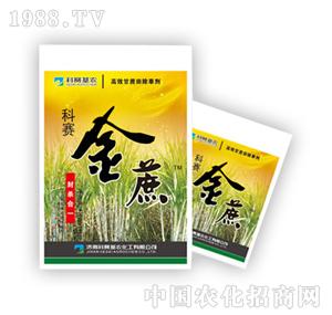 ��ِ���r(n��ng)-��ِ����