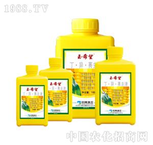 ��ِ���r(n��ng)-��ϣ��