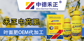 ����еº�������Ƽ����޹�˾